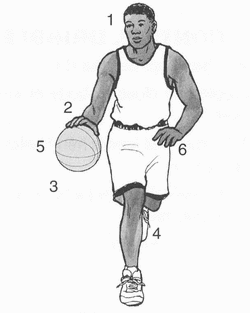 Teknik Dribbling Belajar Bola Basket